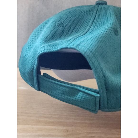 FORT WAYNE TINCAPS Hat Minor League Baseball Cap MiLB Youth Adjustable New wTags - Picture 10 of 10